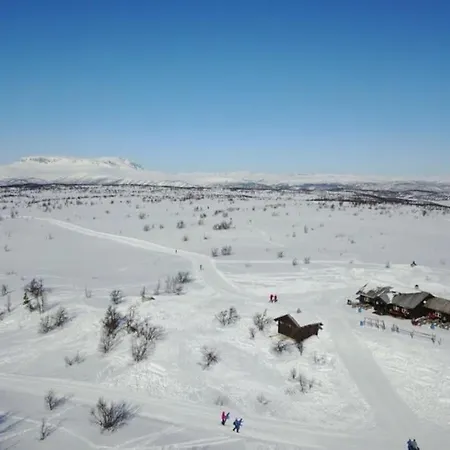 Fjellro I Naturskjonne Skurdalen. Naer Skiloyper * Flataker