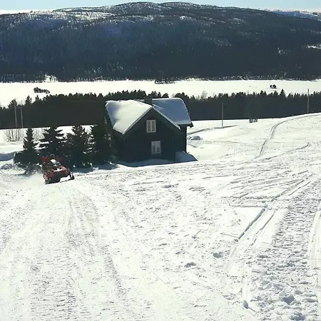 Fjellro I Naturskjonne Skurdalen. Naer Skiloyper * Flataker