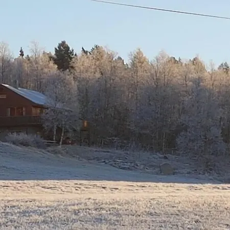 Fjellro I Naturskjonne Skurdalen. Naer Skiloyper *