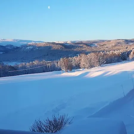 Fjellro I Naturskjonne Skurdalen. Naer Skiloyper *