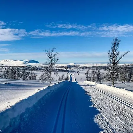 Fjellro I Naturskjonne Skurdalen. Naer Skiloyper * Flataker